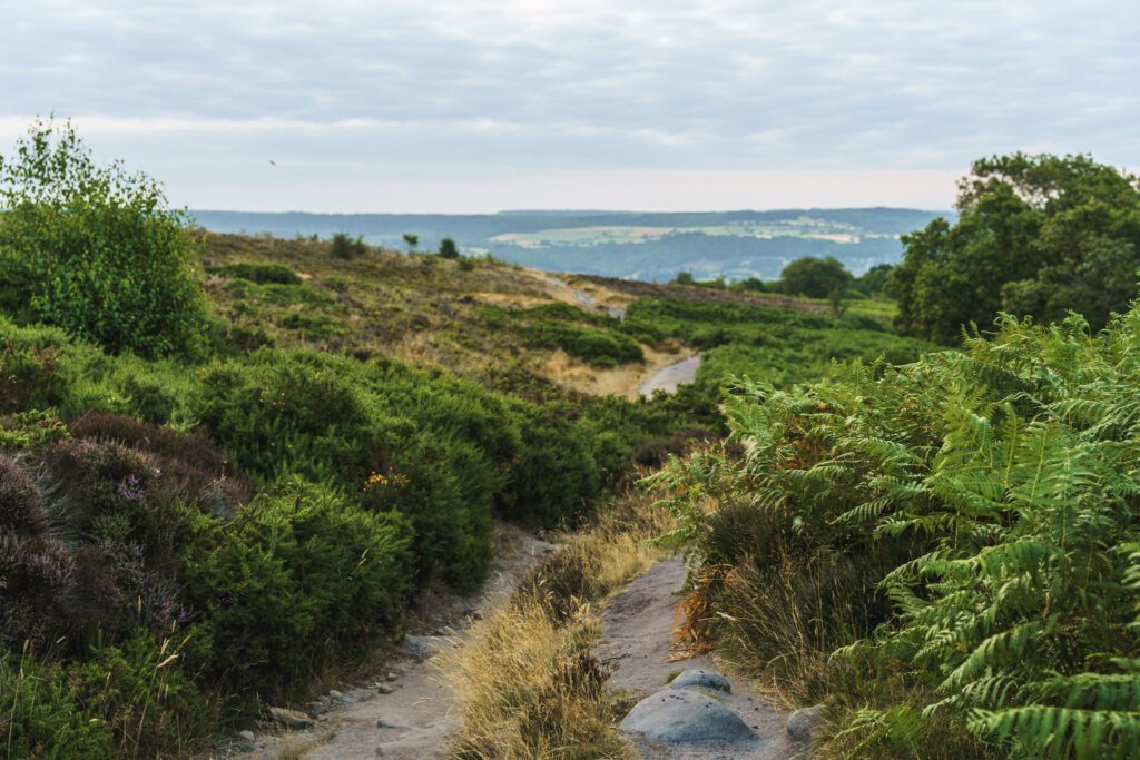 Footpath through the moorland at Stanton Moor