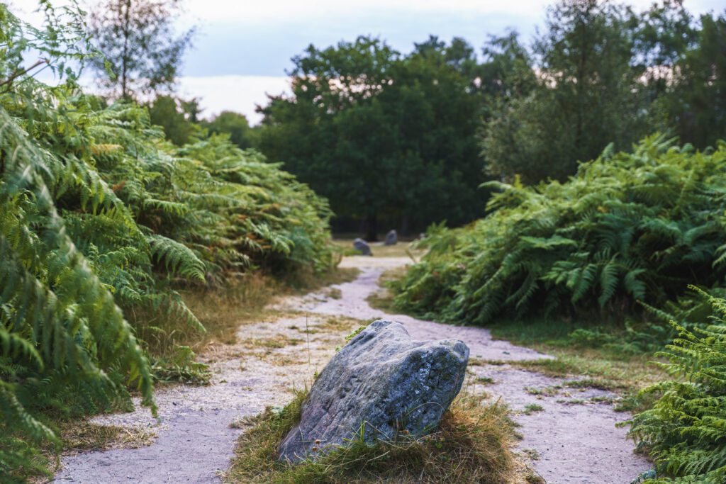The King Stone looking towards the Nine Ladies Stone Circle on Stanton Moor