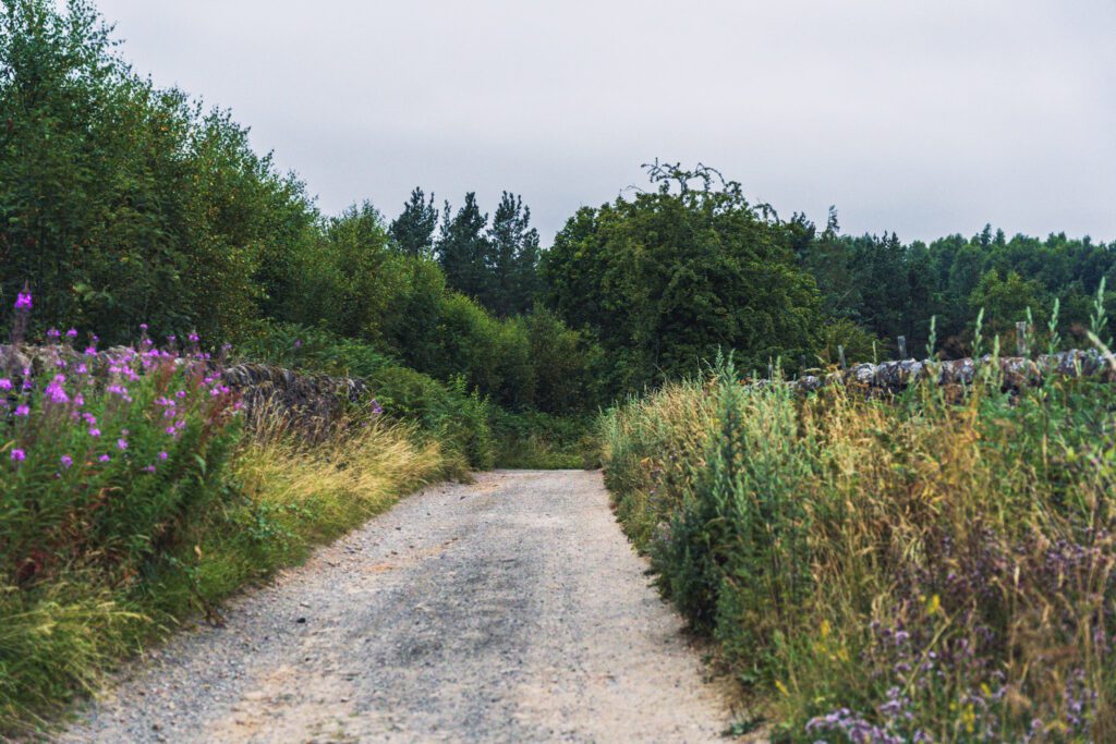 Stone wall edges country lanes on Beeley Moor