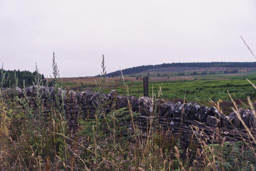 Looking over a stone wall towards Beeley Moor