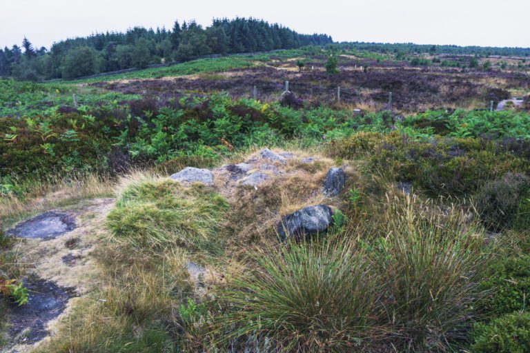 Bronze Age burial site of Hob Hurst's House on Beeley Moor