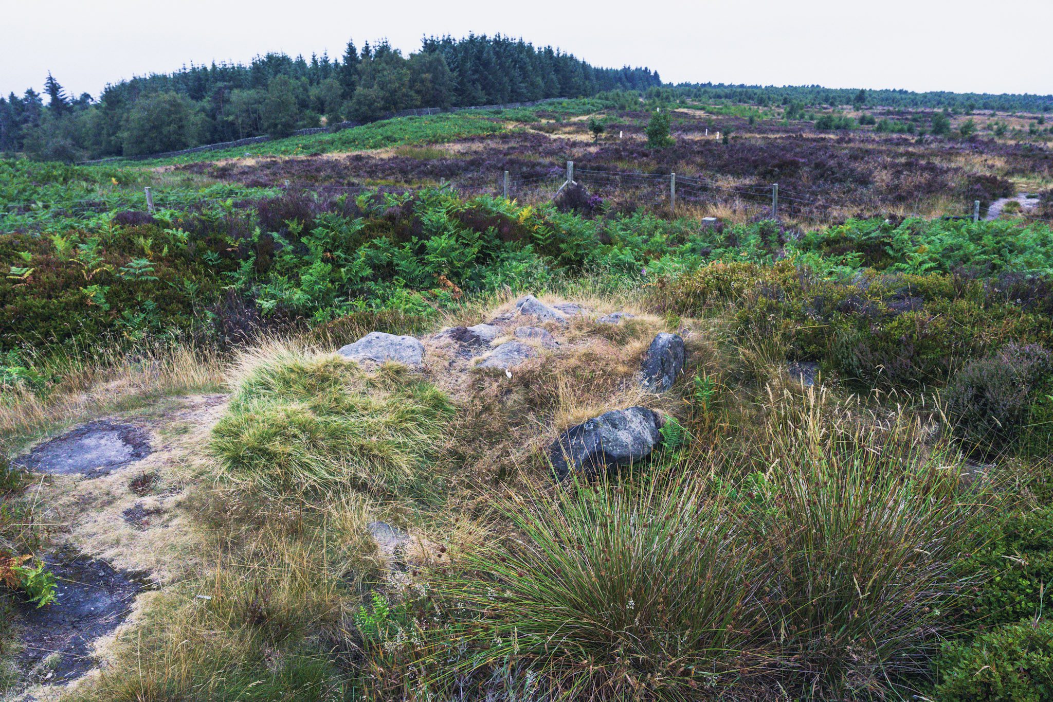 Hob Hurst’s House From Beeley Moor – Bronze Age Burial