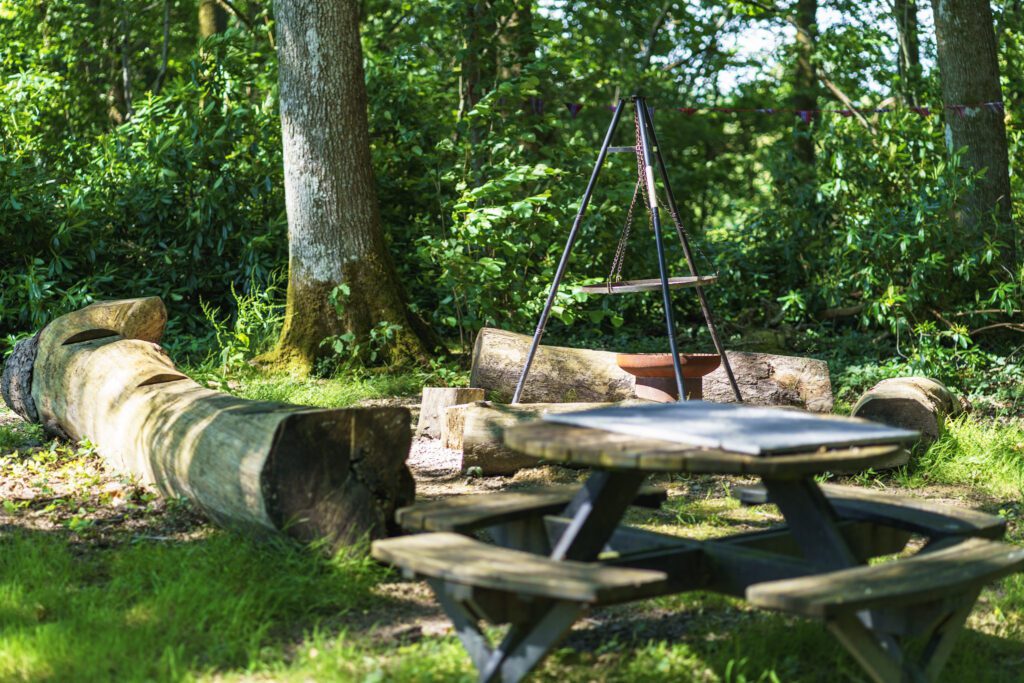 Outdoor kitchen with cooking rack over fire pit, tables and log seating in the woods