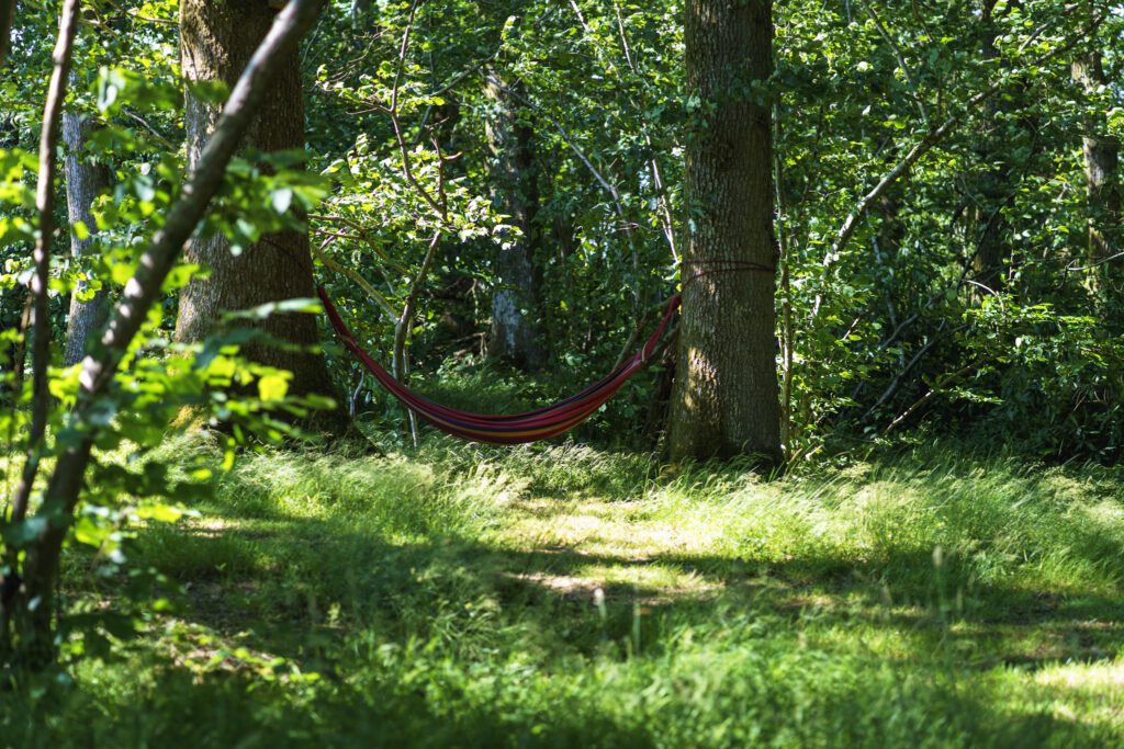 Hammock swinging in the trees on an off grid campsite