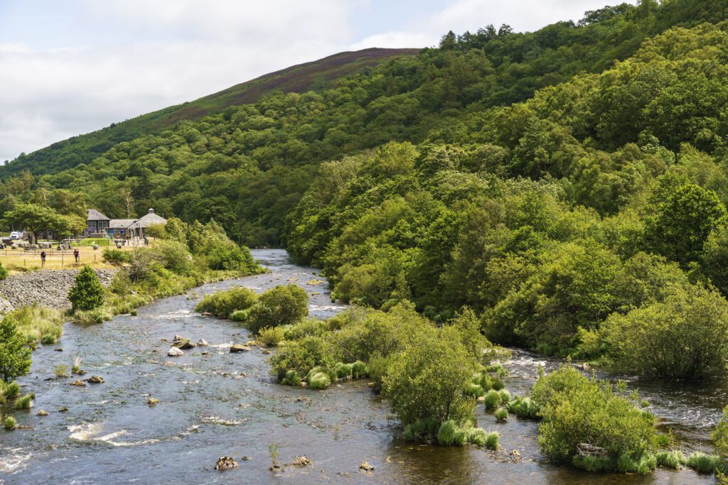 View down the river from Cabin Coch Dam
