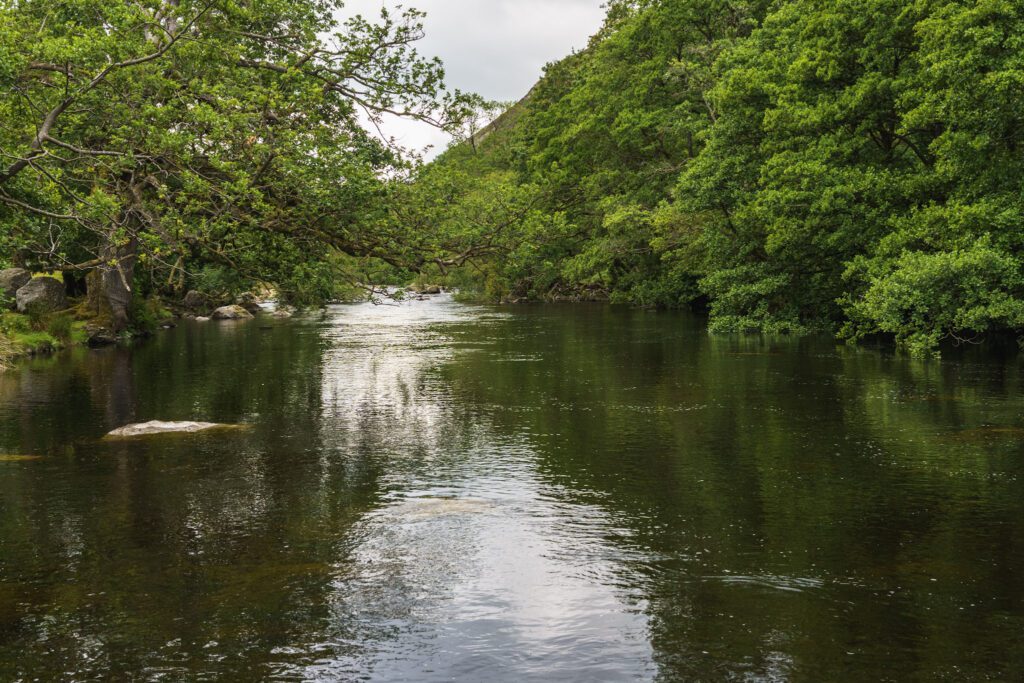 Riverside Elan Valley towards weir