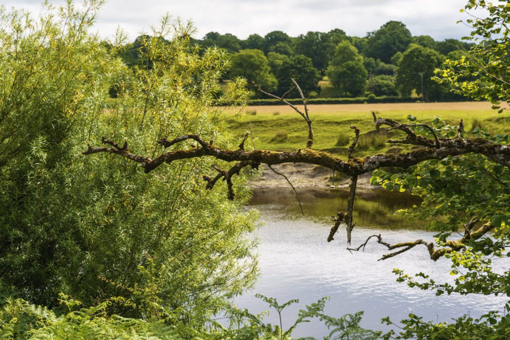 River Wye with trees and lush greenery
