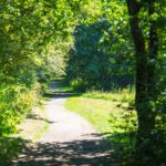 Deep Hayes Country Park Circular Walk from Cheddleton