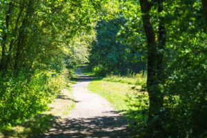 Deep Hayes Country Park Circular Walk from Cheddleton