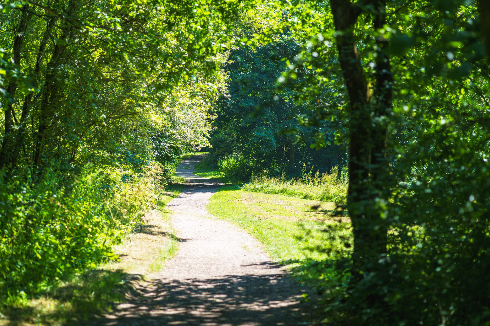Deep Hayes Country Park Circular Walk from Cheddleton