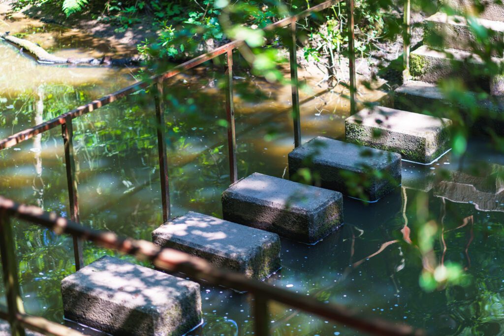 Stone steps with a handrail leading down to the water's edge at Deep Hayes Country Park.