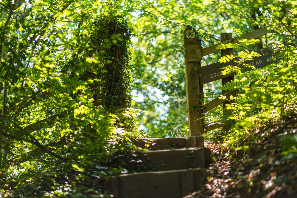 A wooden fence and part of a sign, half hidden by sunlit foliage, at Deep Hayes Country Park.