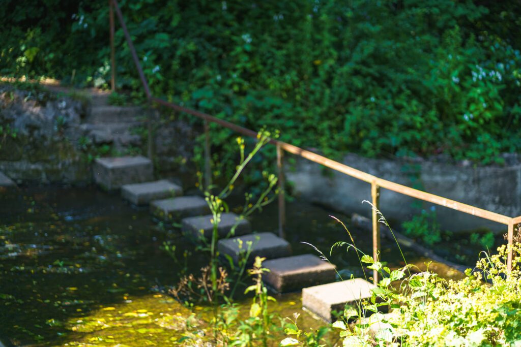 Stone stepping stones crossing the water beside a handrail at Deep Hayes Country Park.