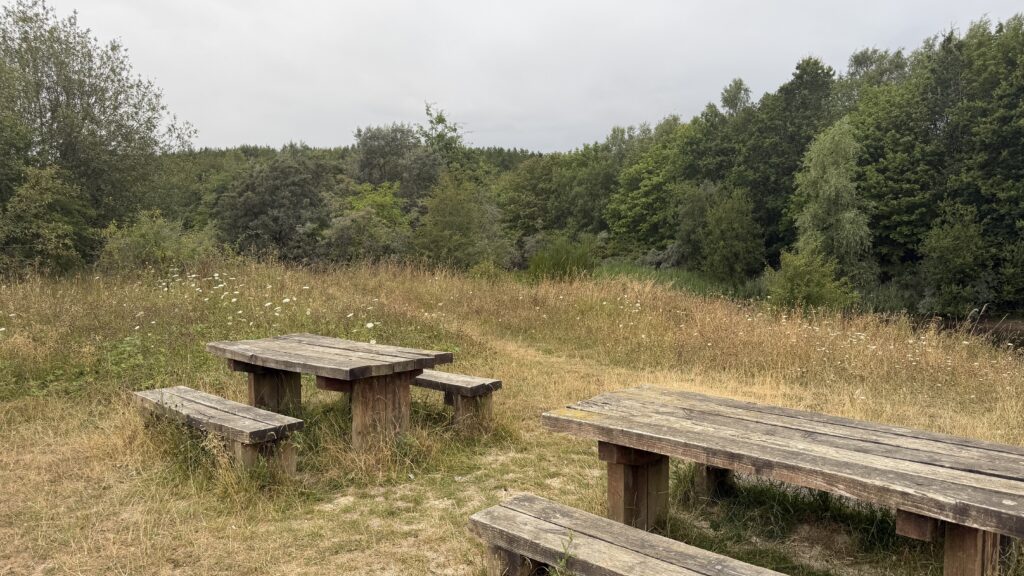 Picnic benches by the ponds at Silver hill country park