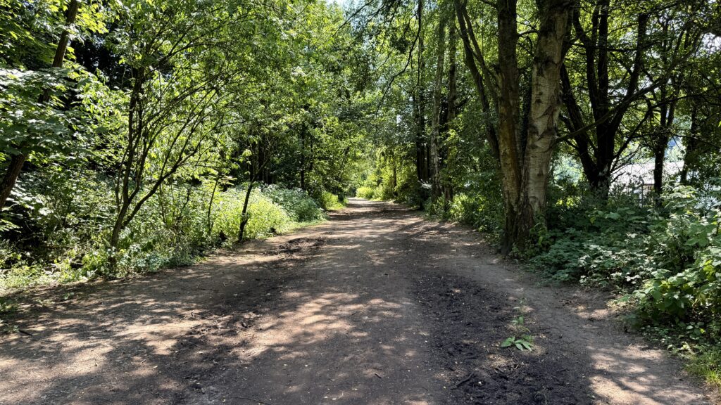 A wide dirt path through the trees on the Chained Oak walk in Dimmingsdale Wood.