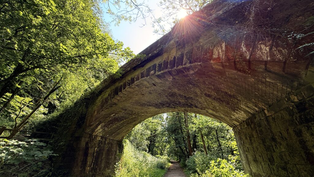 Looking up at a stone bridge arch through the trees on the Chained Oak walk in Dimmingsdale Wood.