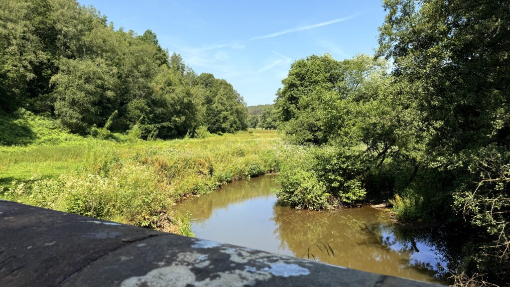 An open view over the river and meadow on the Chained Oak walk in Dimmingsdale Wood.