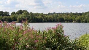 Holmebrook Valley Park, Accessible Route For All The Family