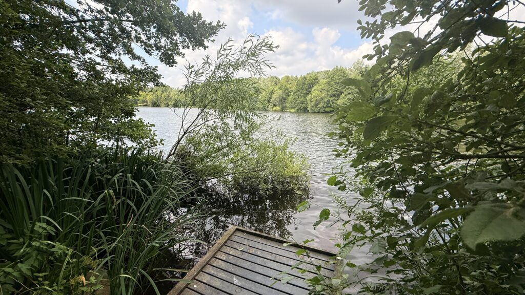 Fishing platform at Holmebrook Country Park