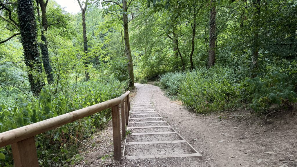 Steps through woodland at Linacre Country Park
