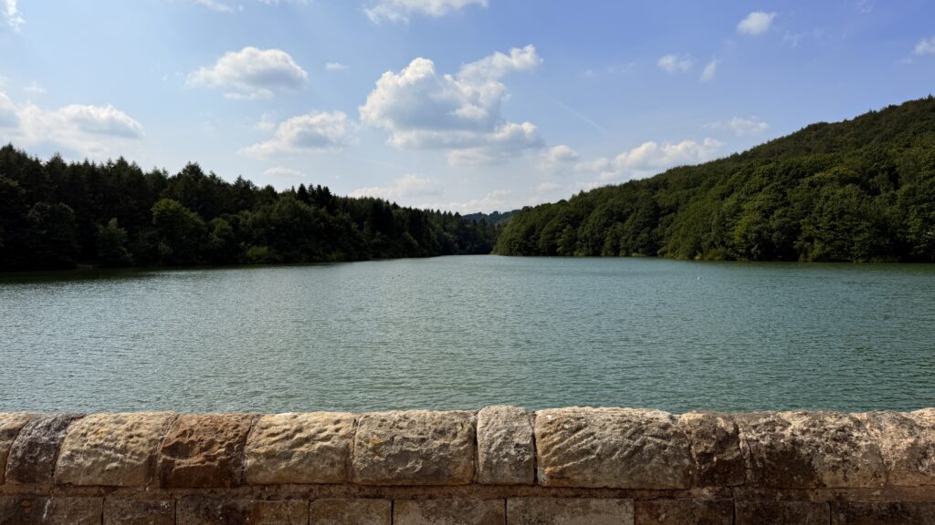 Linacre reservoir from the dam wall and towards the woodland