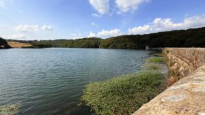 Linacre Reservoir & Peaceful Woodland Walk