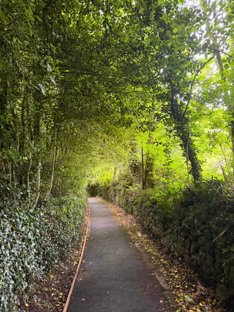 Country path between stone walls covered in ivy