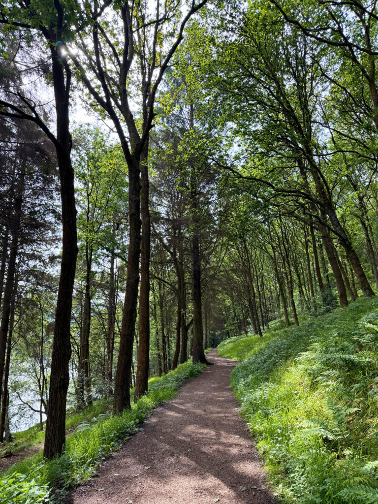 Woodland path alongside Ladybower Reservoir