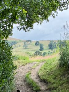 Walk photo by Feral Froglet