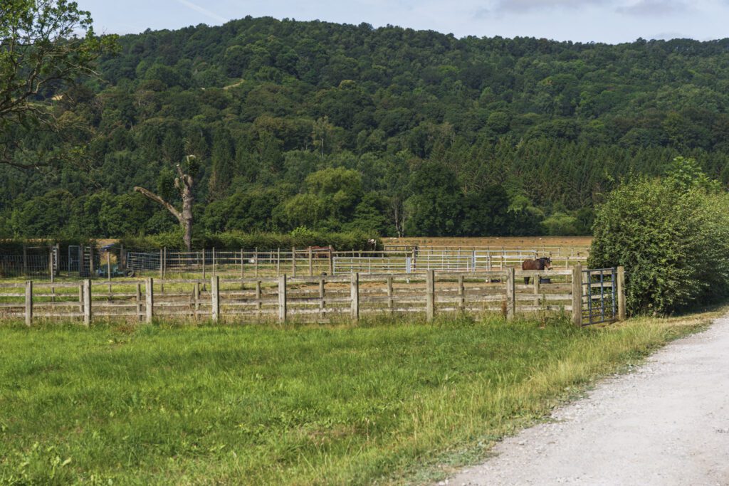 Country lane with wooden fencing and a Shetland pony grazing